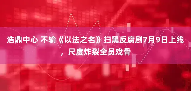 浩鼎中心 不输《以法之名》扫黑反腐剧7月9日上线，尺度炸裂全员戏骨